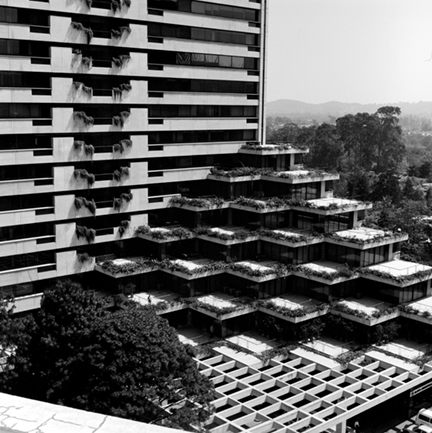 Proyectos en colaboración — fotografía 18